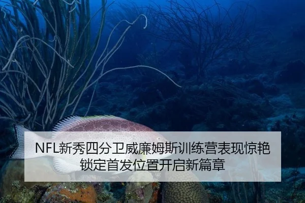 xin-xiu-si-fen-wei-wei-lian-mu-si-xun-lian-ying-biao-xian-jing-yan-suo-ding-shou-fa-wei-zhi-kai-qi-xin-pian-zhang-2-200.jpg