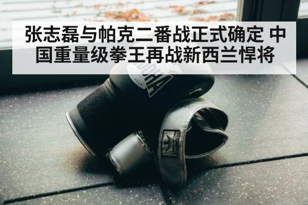 boxing training gloves
